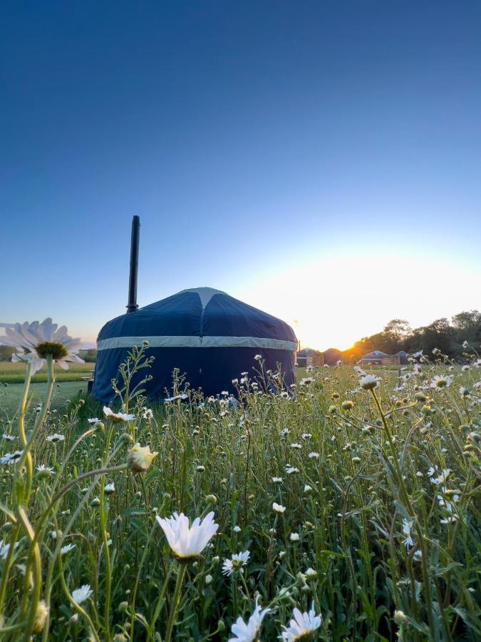 Wild Meadow, Lodge Farm, East Raynham Fakenham Eksteriør bilde