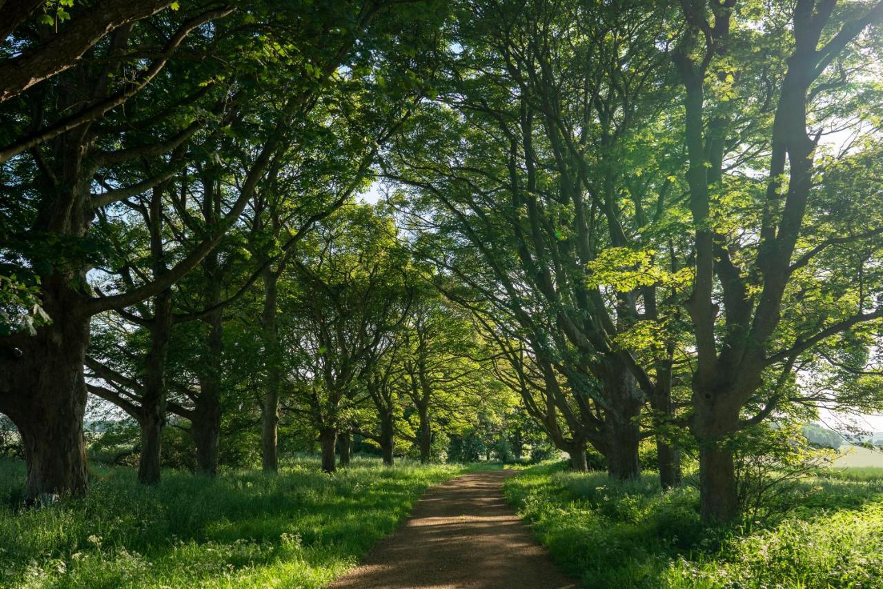 Wild Meadow, Lodge Farm, East Raynham Fakenham Eksteriør bilde