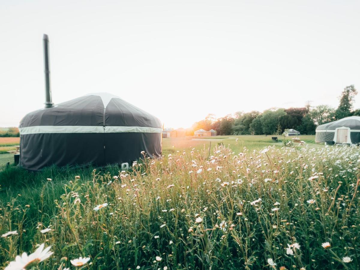 Wild Meadow, Lodge Farm, East Raynham Fakenham Eksteriør bilde
