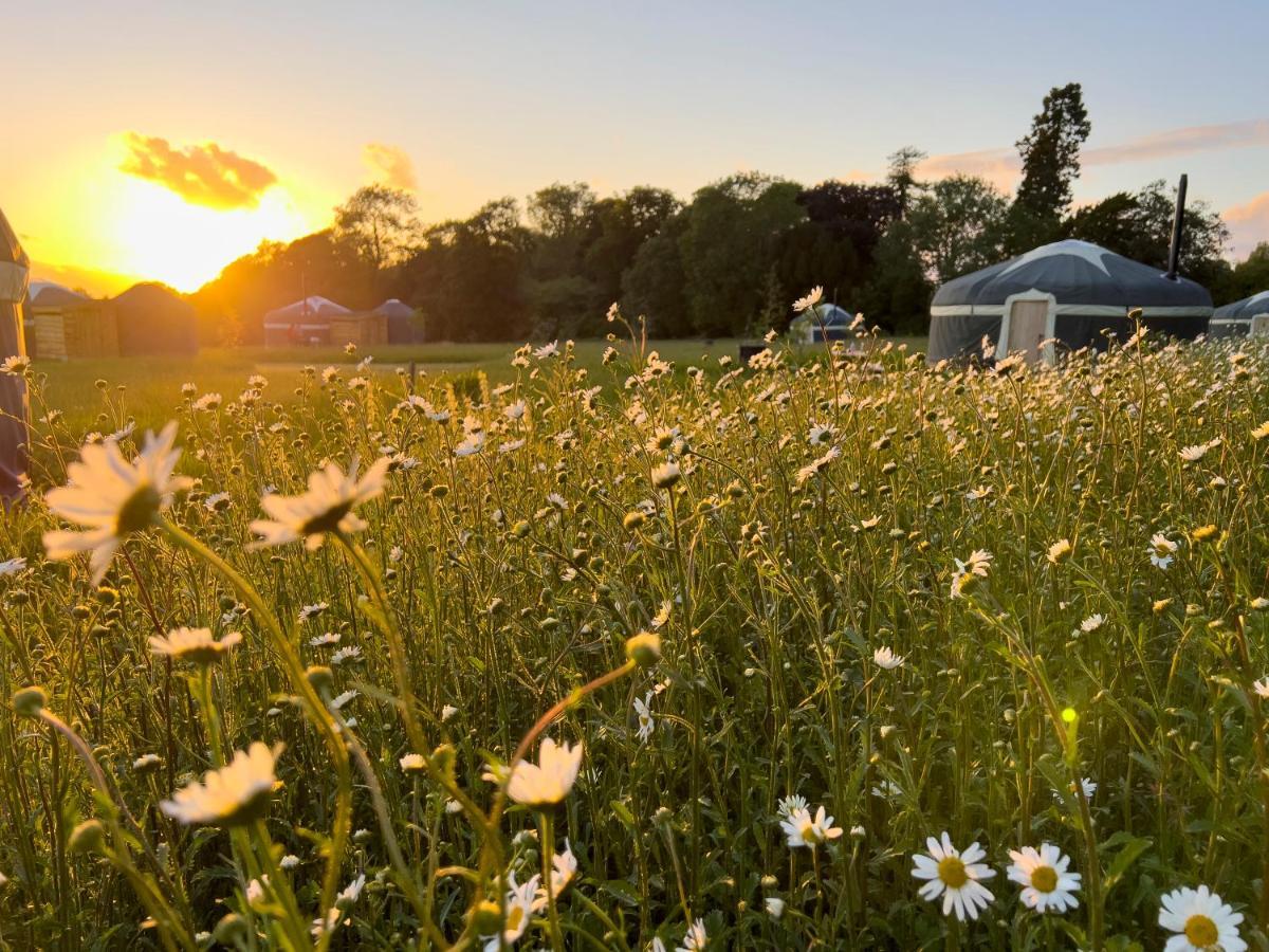 Wild Meadow, Lodge Farm, East Raynham Fakenham Eksteriør bilde